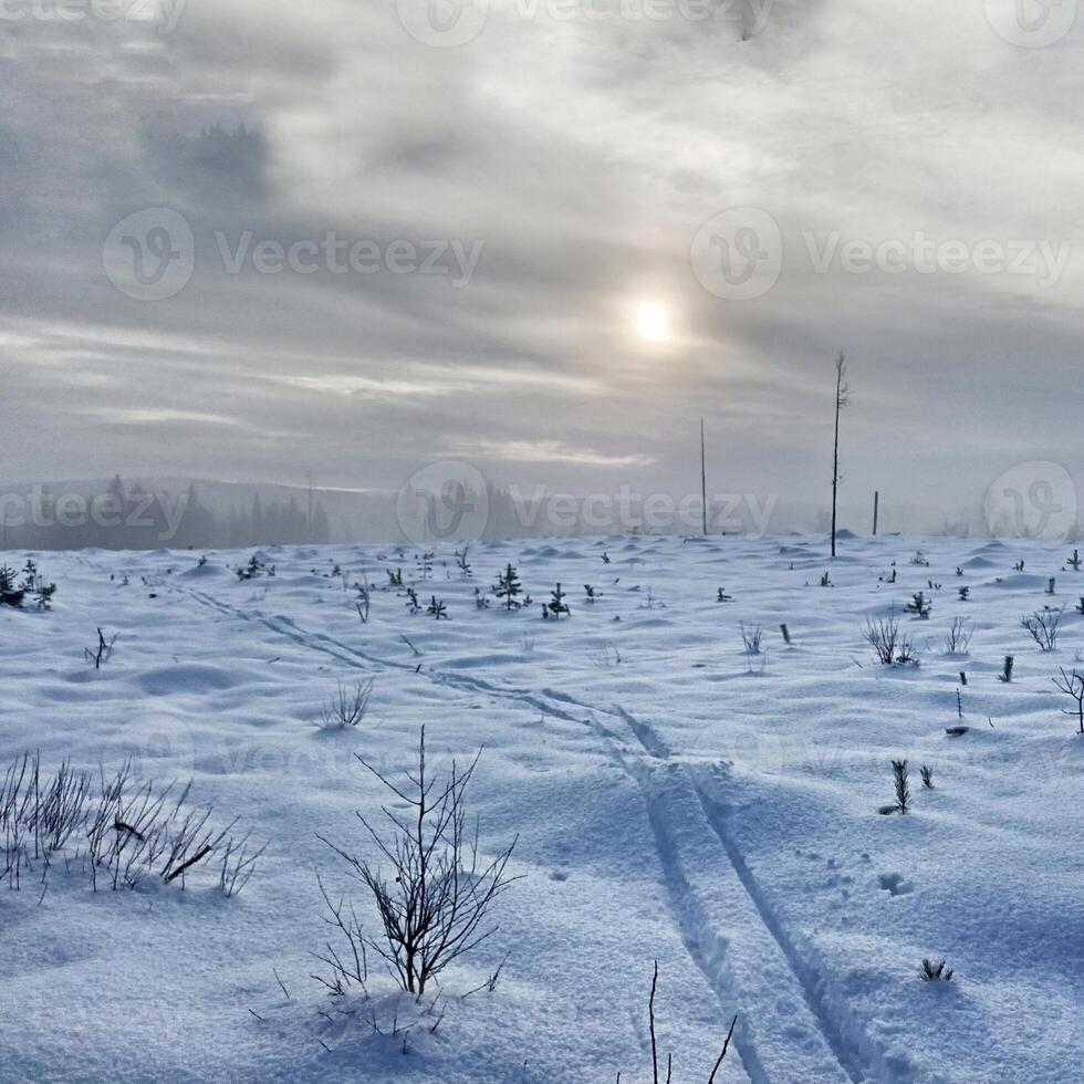 Ski tracks in winter wasteland on a misty day in Lapland photo