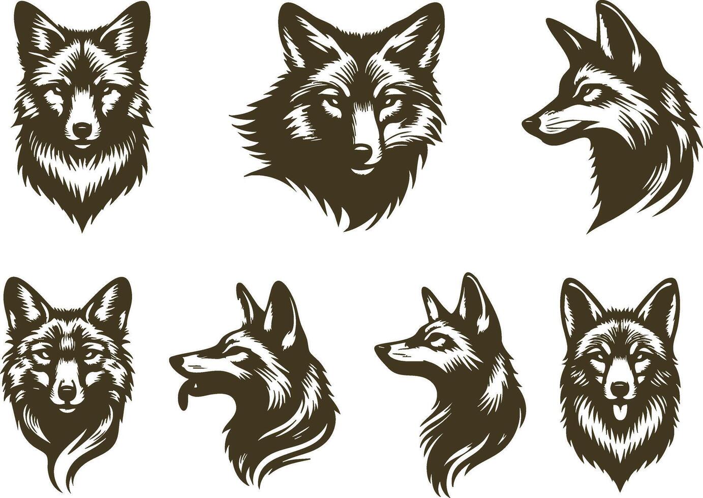 Jackal Face for Carnivore and Wildlife Projects vector