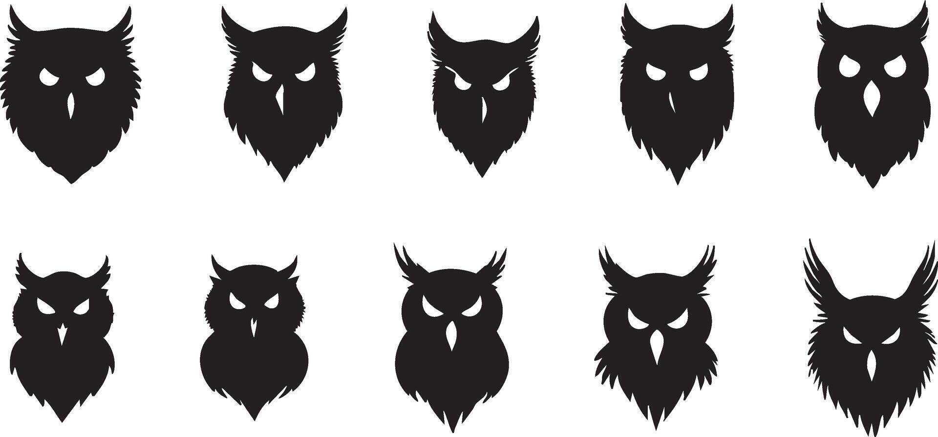 Wise Owl Face Design for Nature Art Projects vector