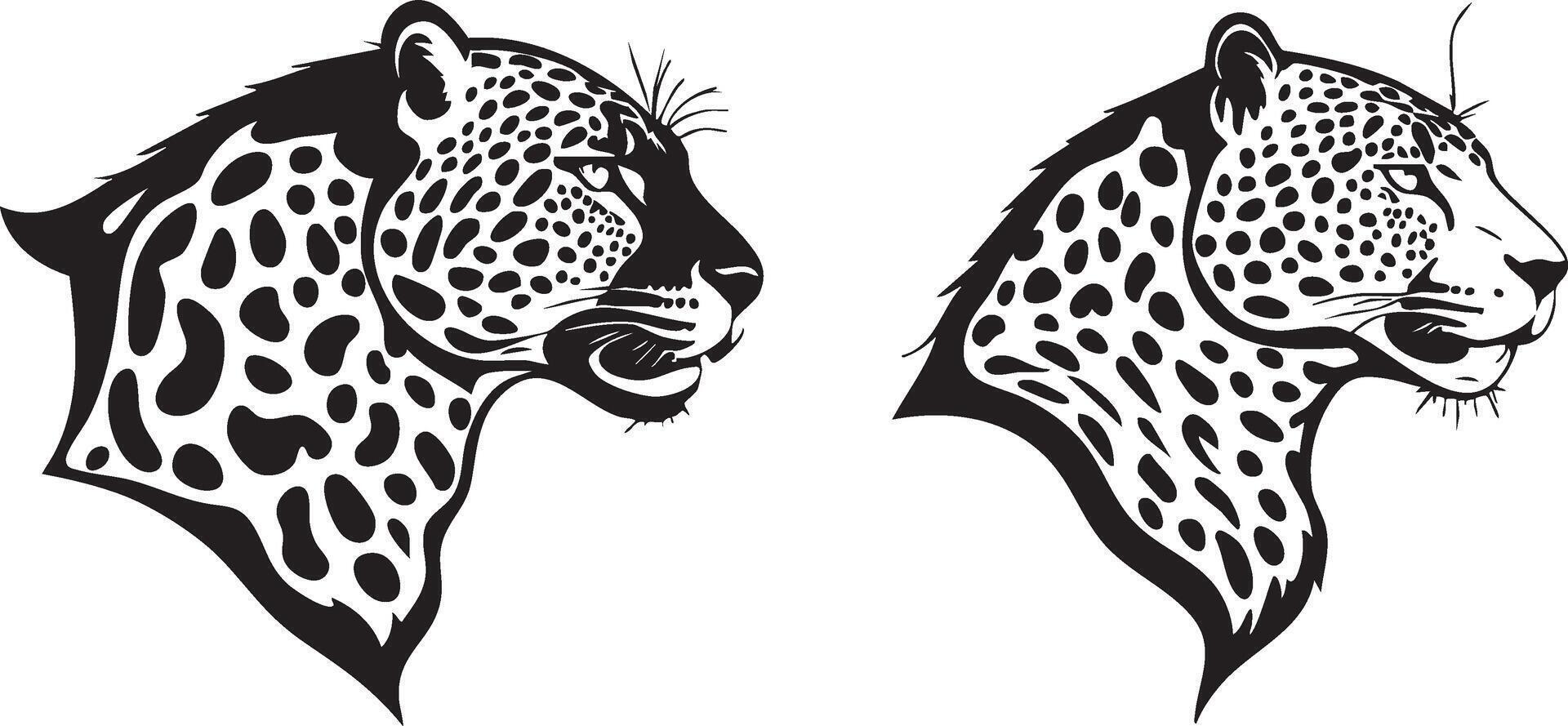 Jaguar Face for Jungle Predator Designs vector