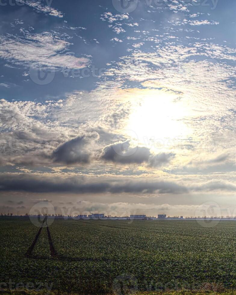 Beautiful cloudscape and field near Magdeburg in Germany photo