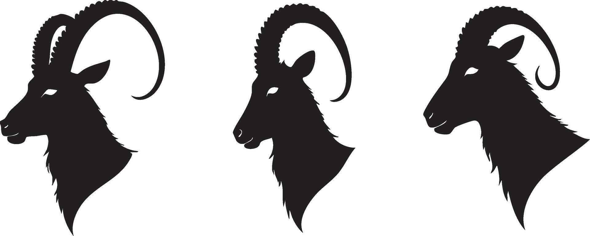 Ibex Head Design for Wilderness and Wildlife Art vector
