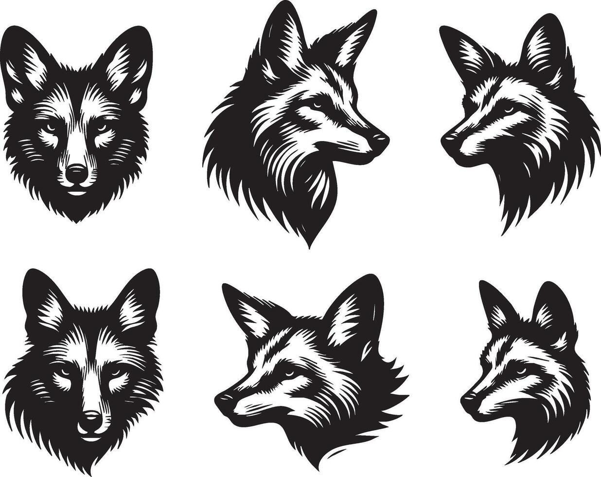Scavenger Jackal Face for Nature and Predator Designs vector
