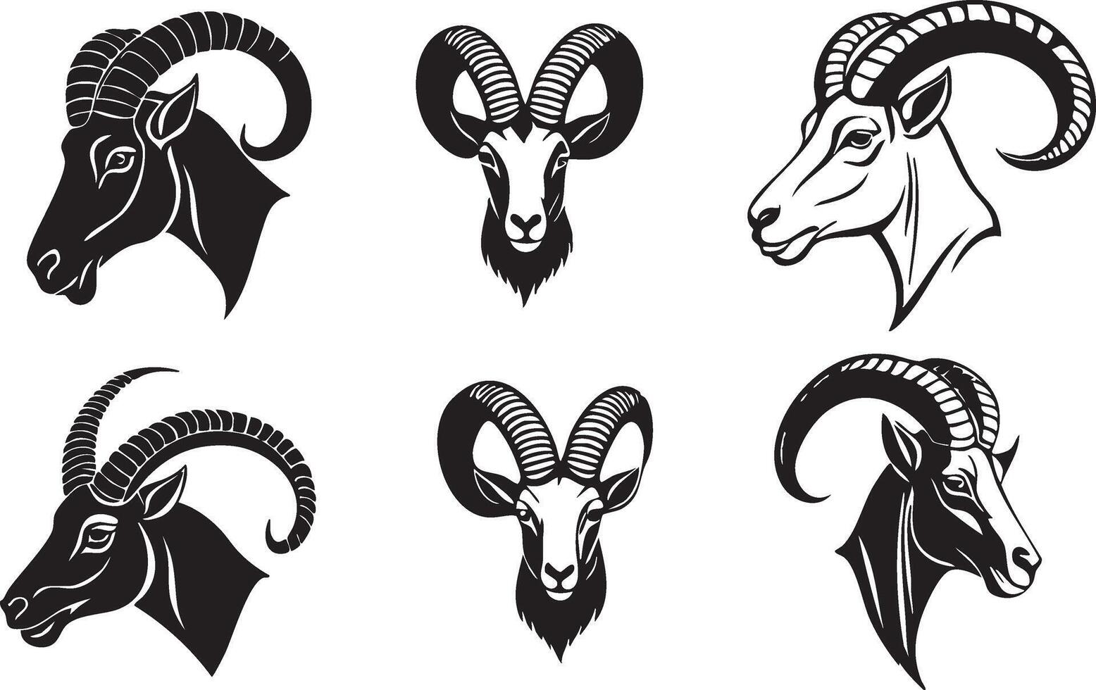 Mountain Goat Face for Nature-Inspired Graphics vector