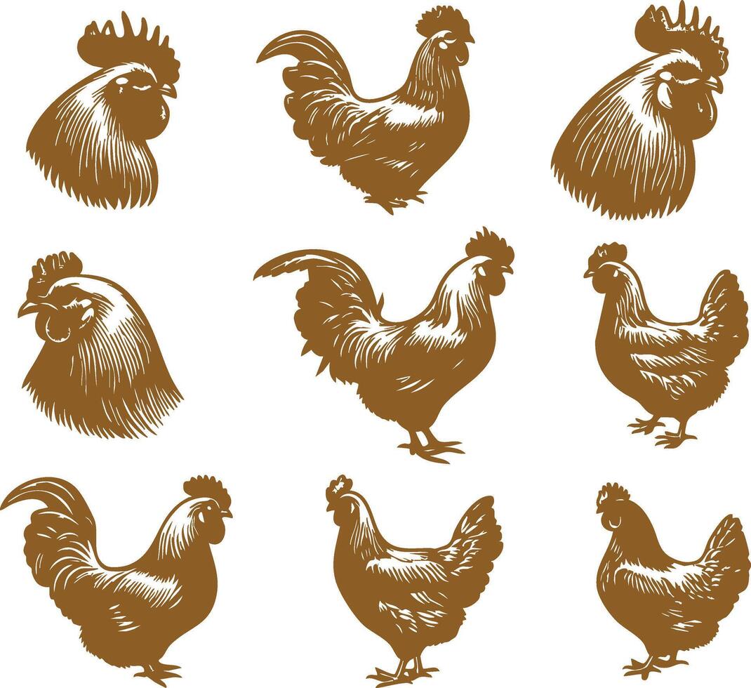 Poultry Head for Bird and Animal Art Projects vector
