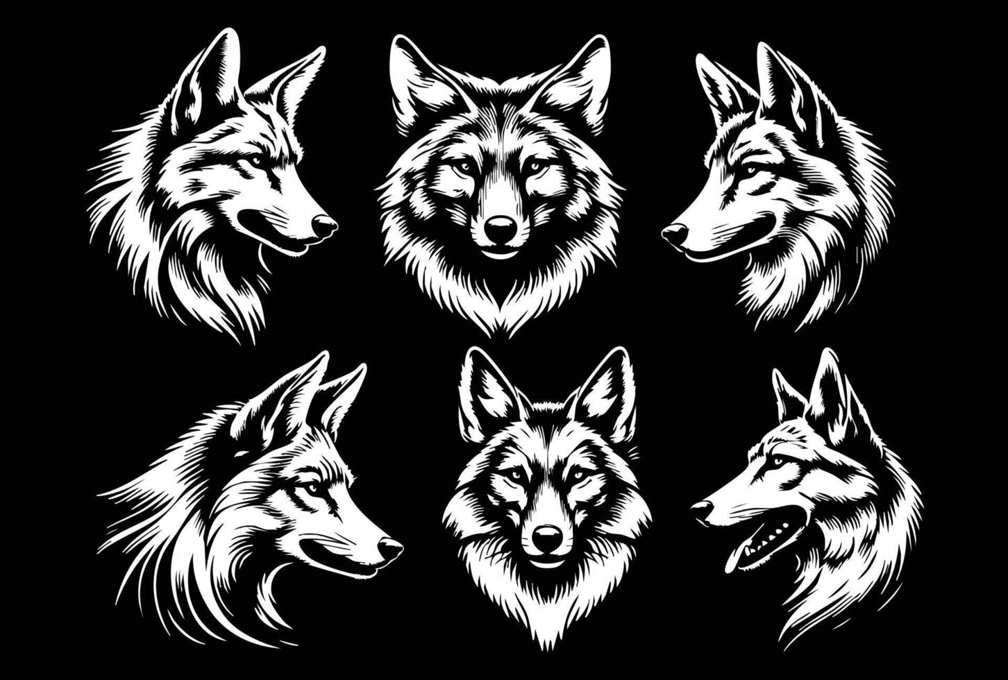 Jackal Face for Desert Wildlife Designs vector
