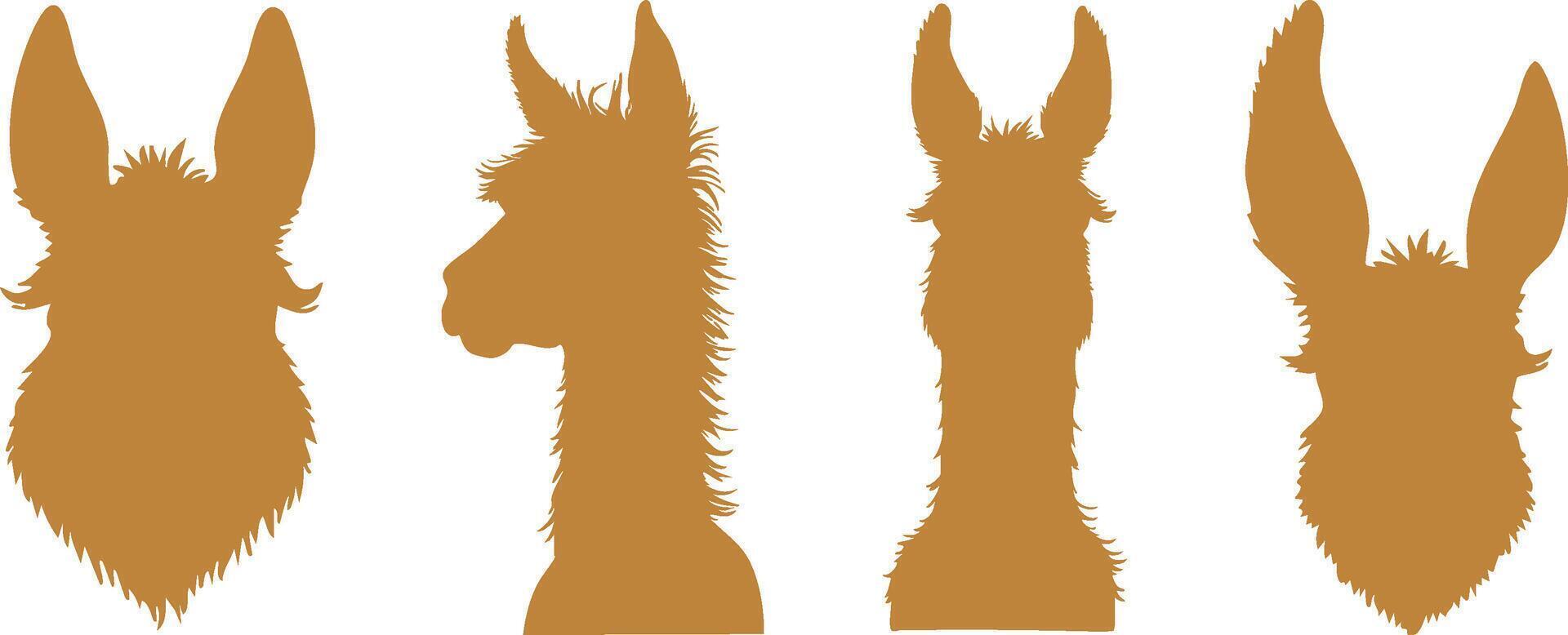 Peruvian Highland Llama Art for Unique Designs vector