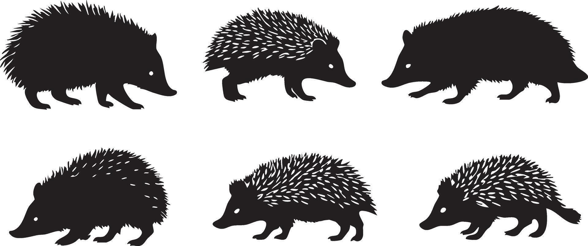 Wild Rodent Hedgehog for Nature-Themed Illustrations vector