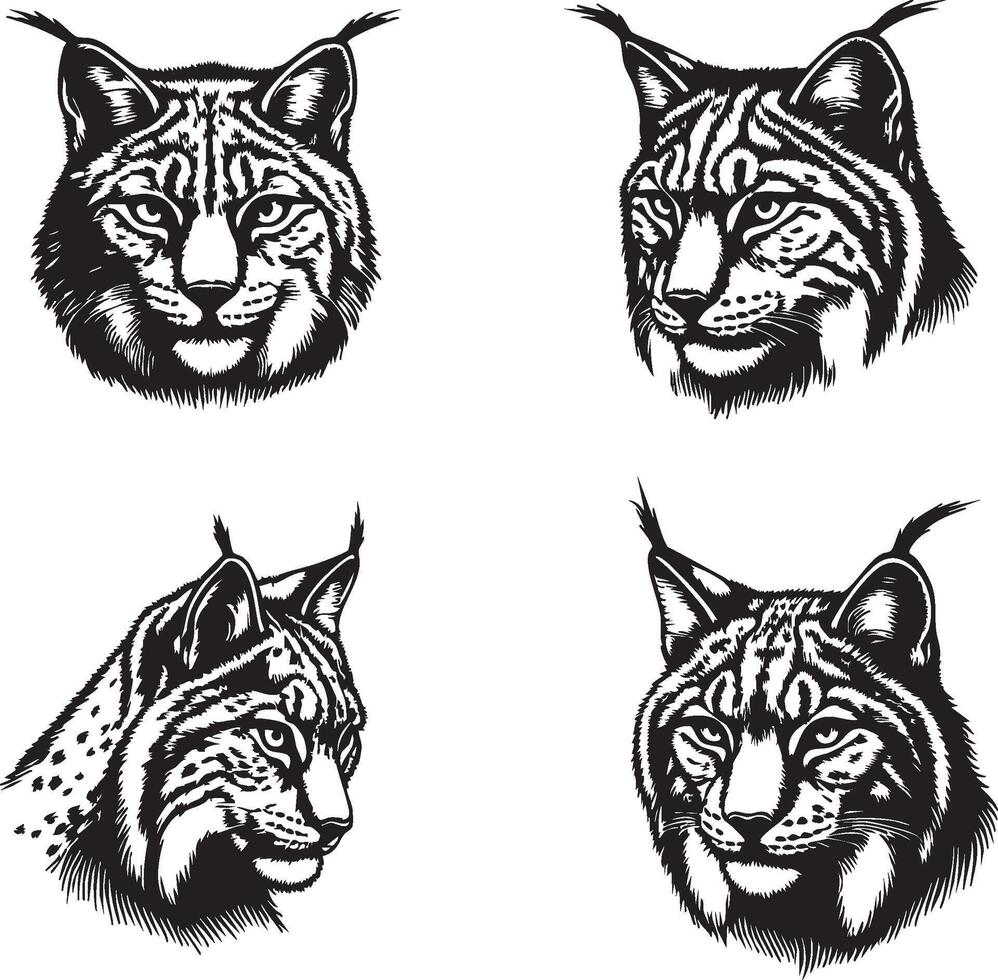 Wild Animal Head Representation The Lynx vector