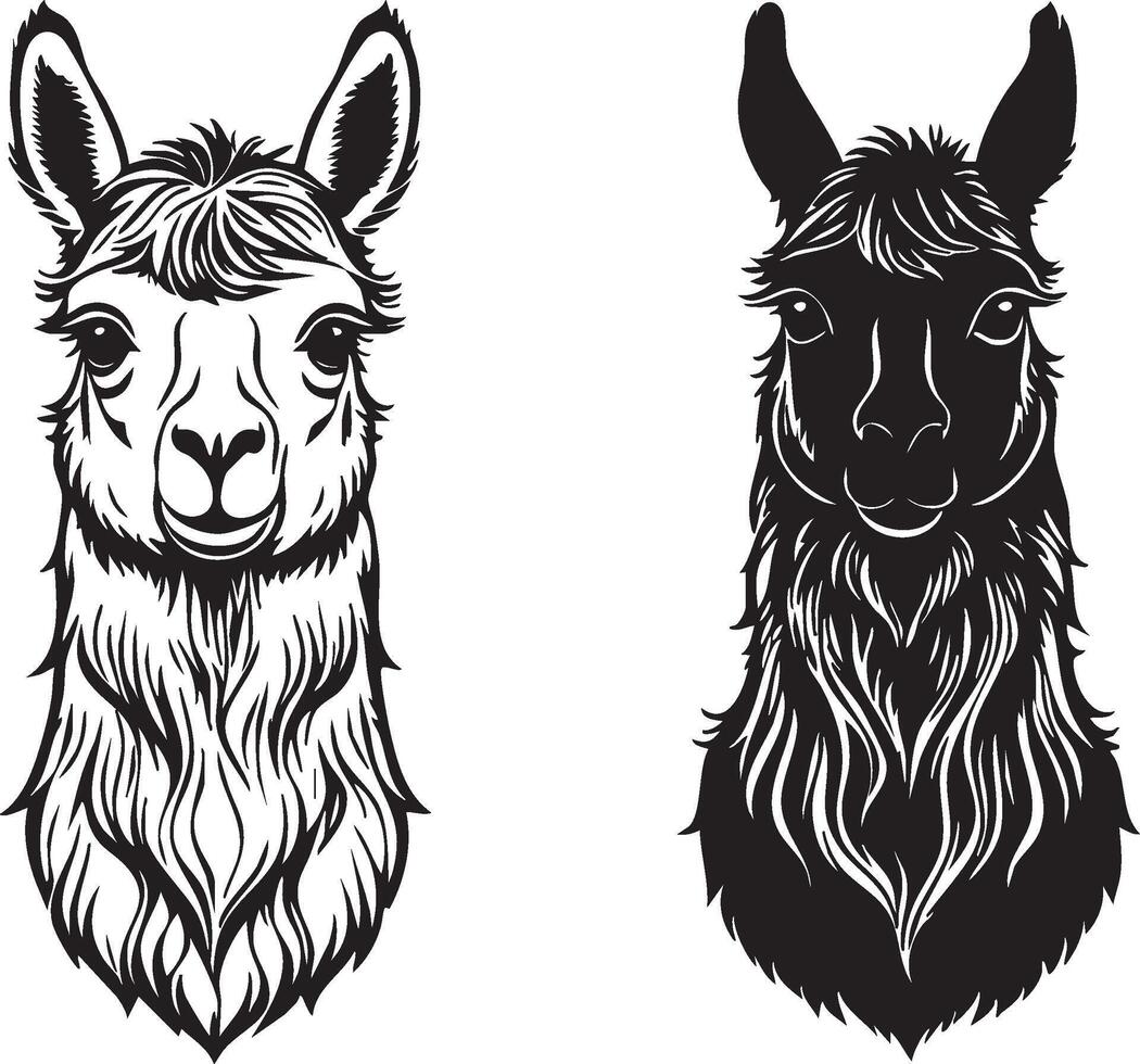 Cultural Symbol of the Andes Featuring a Llama vector