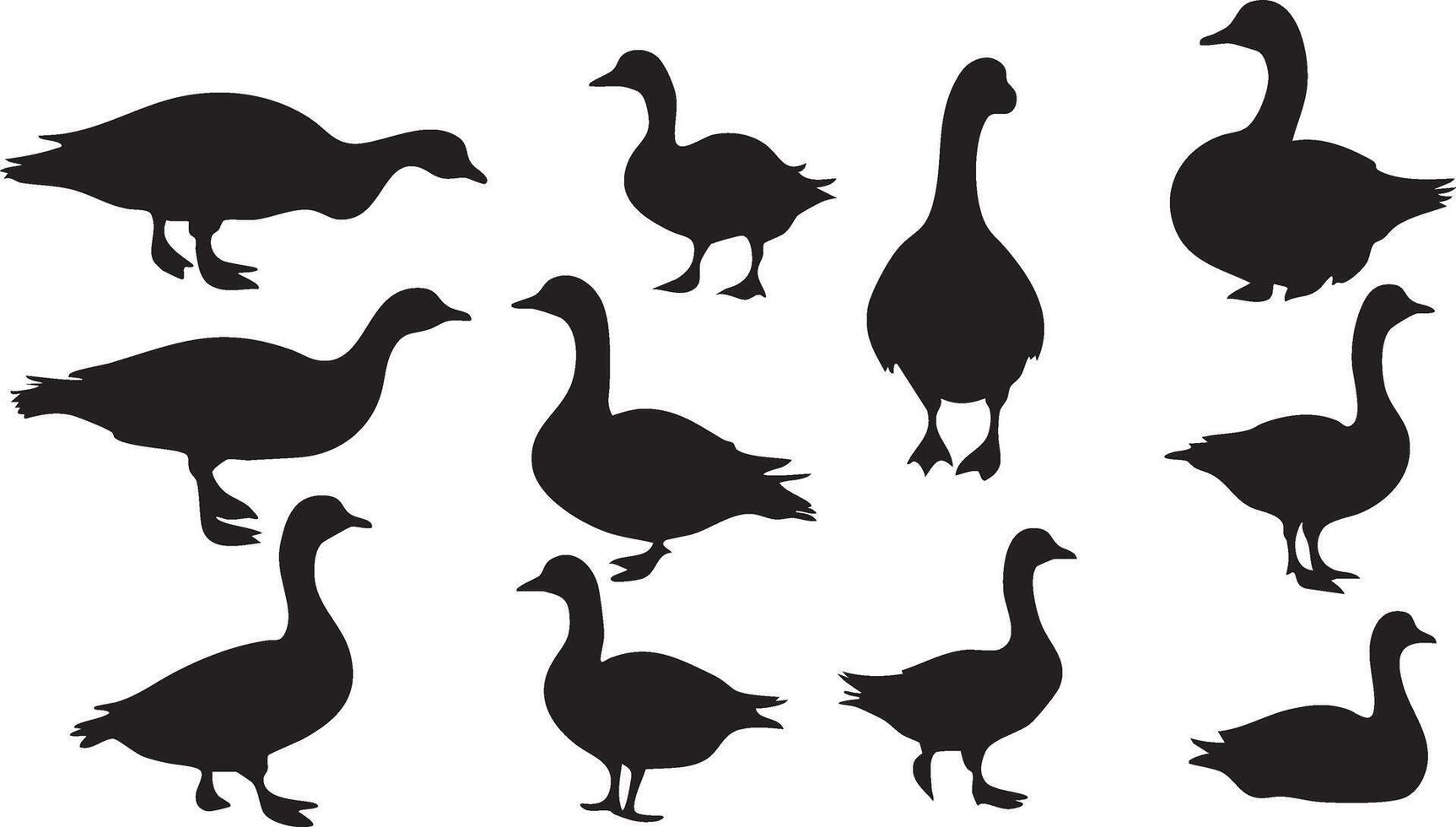 Graceful Goose Illustration for Bird-Themed Art vector