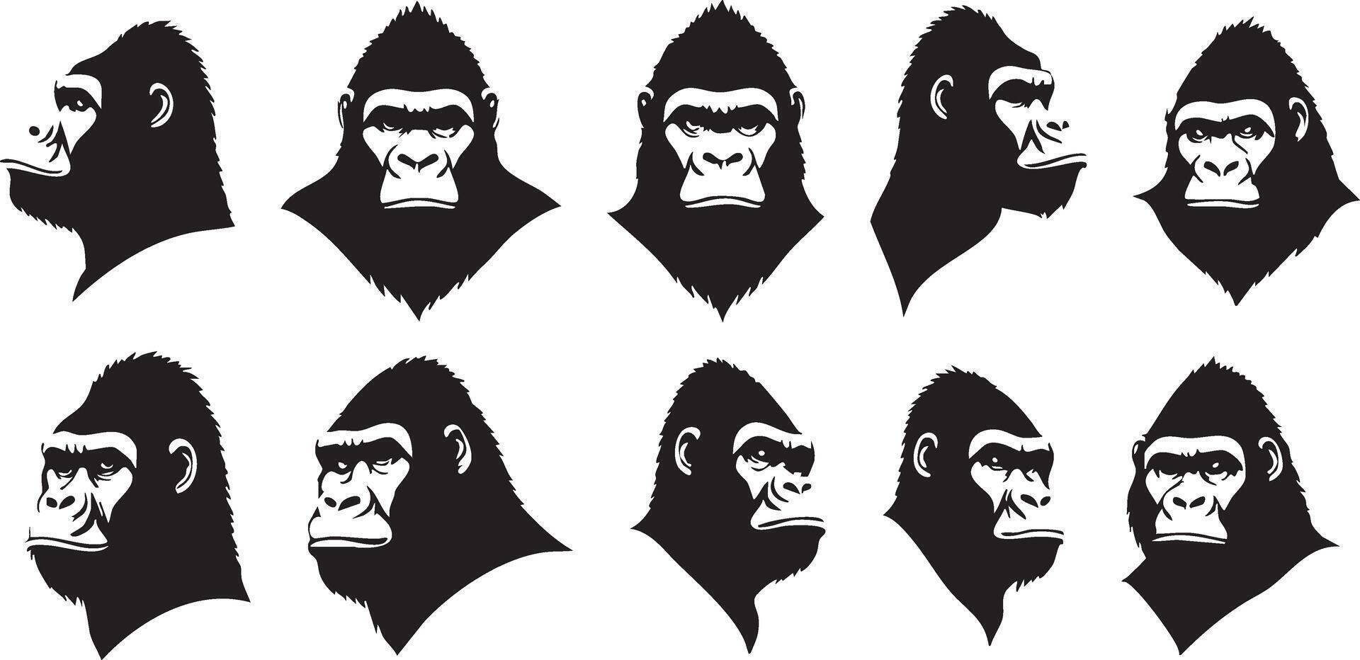 Powerful Gorilla Illustration for Animal-Themed Artwork vector