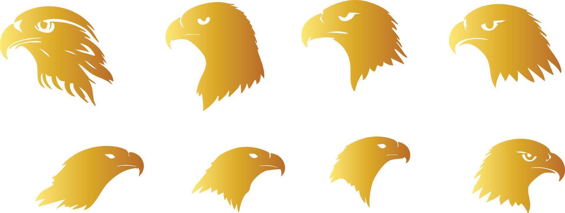 Majestic Golden Hawk Face for Bird of Prey Creations vector