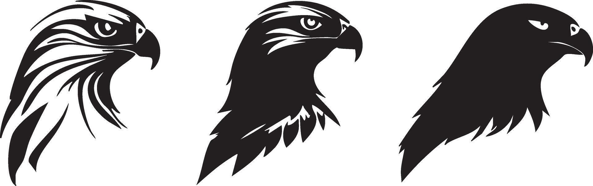 Bird of Prey Head Design for Nature-Inspired Art vector