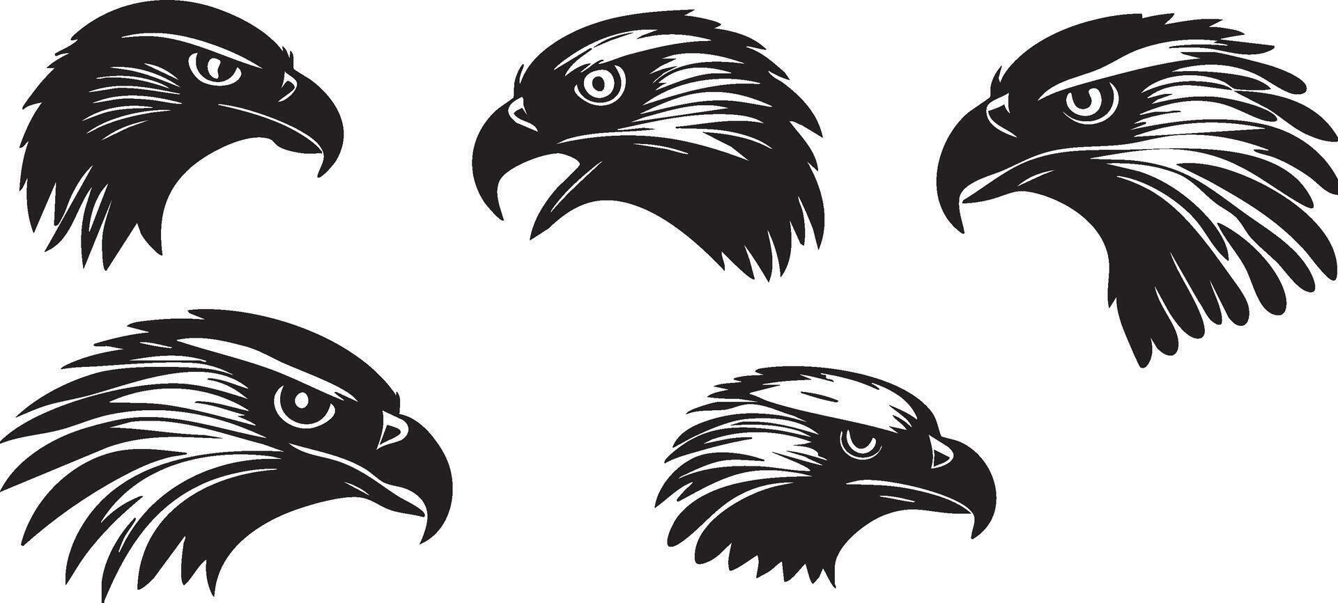 Sharp-Eyed Hawk Face for Nature-Themed Illustrations vector