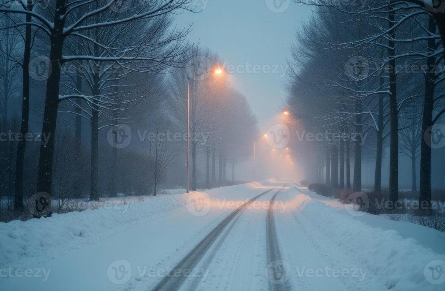 A road nice in the forest in winter in the snow, Christmas trees stand along the street, snowfall photo
