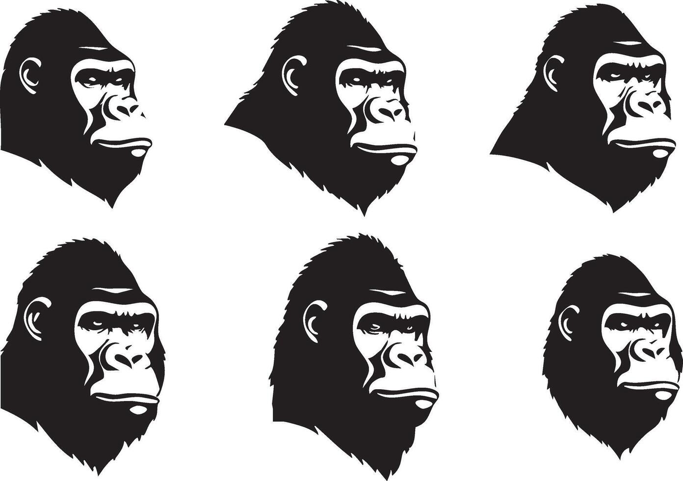 Powerful Gorilla Face for Wild Animal Art vector