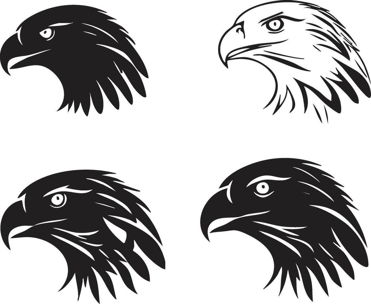 Wild Bird Head for Bird of Prey Illustrations vector