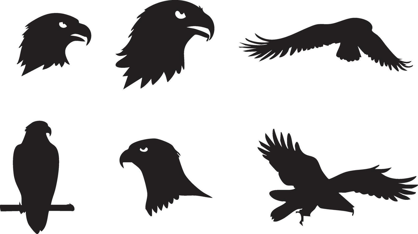 Hawk Artwork for Nature-Themed Graphic Projects vector
