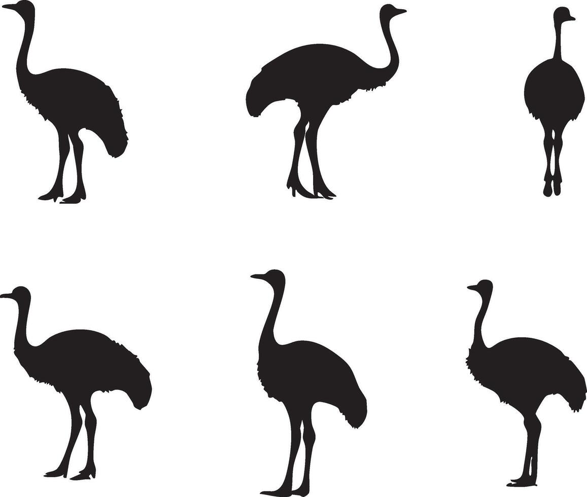 Wild Bird Face Design for Nature and Wildlife Projects vector