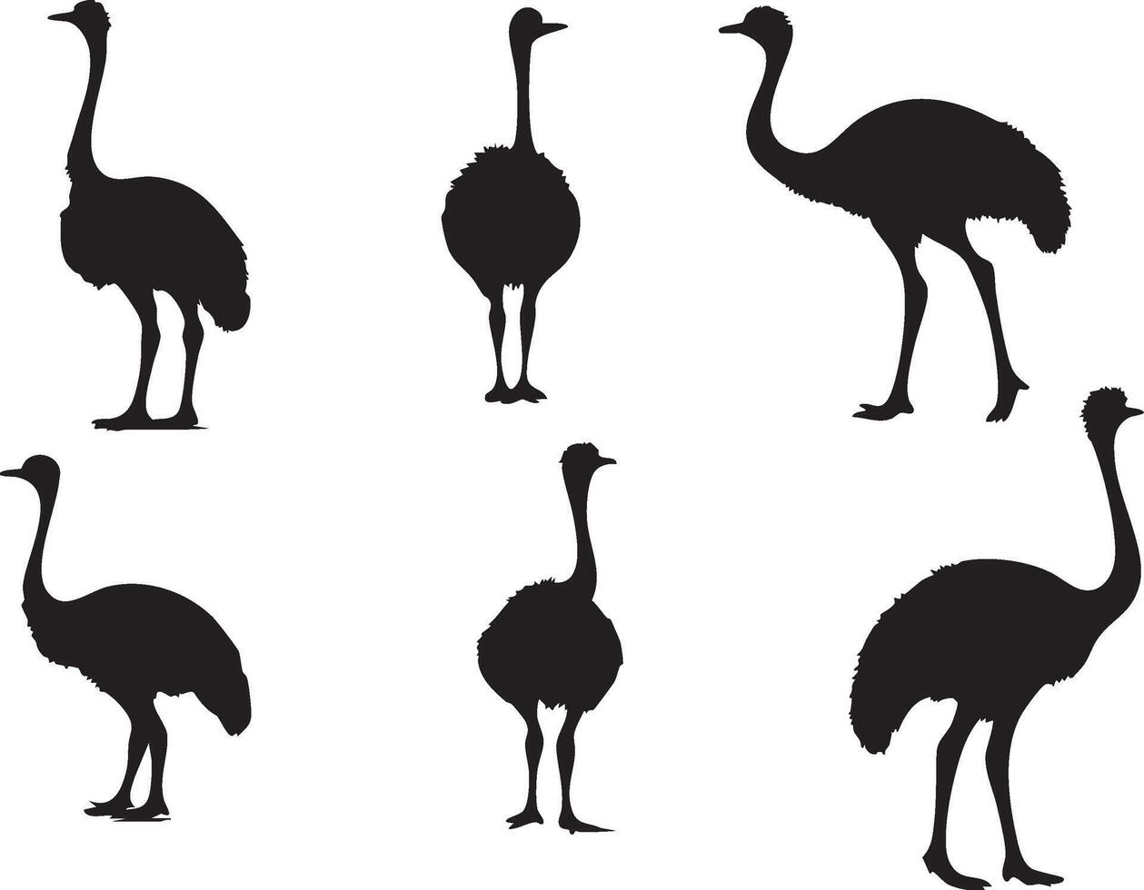 Ostrich Head Silhouette for Exotic Animal Artwork vector