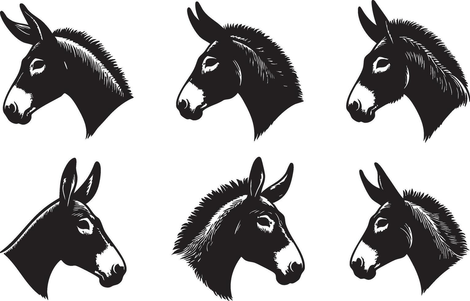Donkey and Mule Face Design for Creative Projects vector