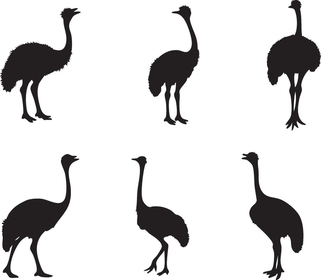 Ostrich Profile for Animal Illustration vector