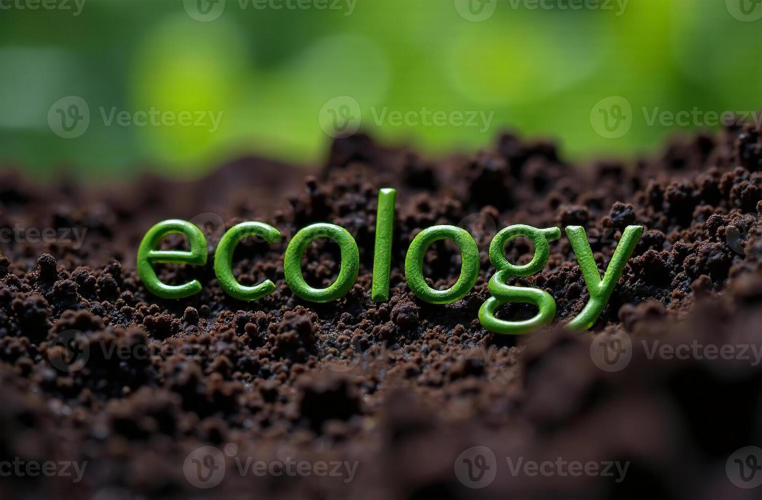 Inscription Ecology eco ground grass sprout. Environmental protection photo