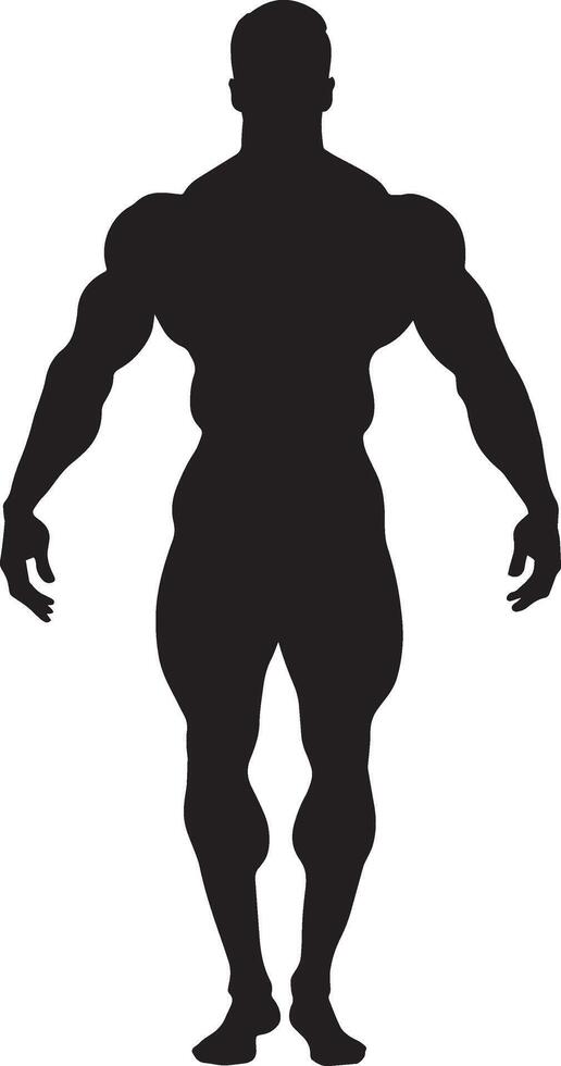 A silhouette of a man with a bodybuilding body vector