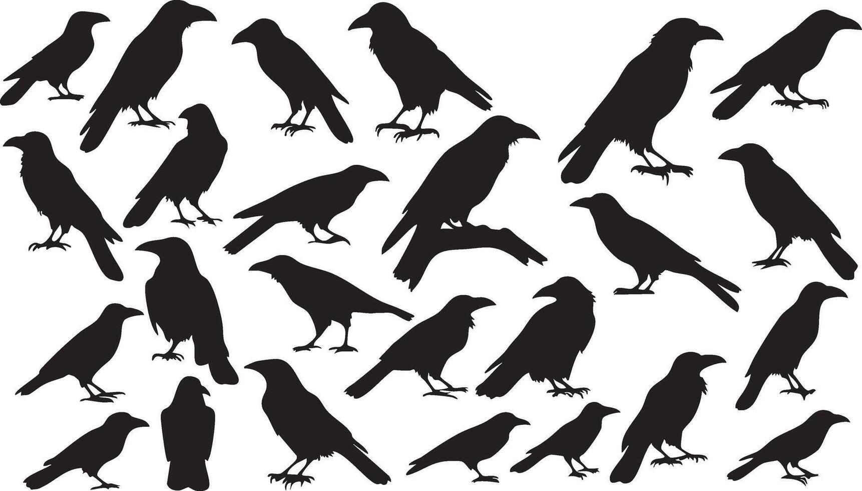 Crow Shadow Silhouette for Dramatic and Atmospheric Designs vector