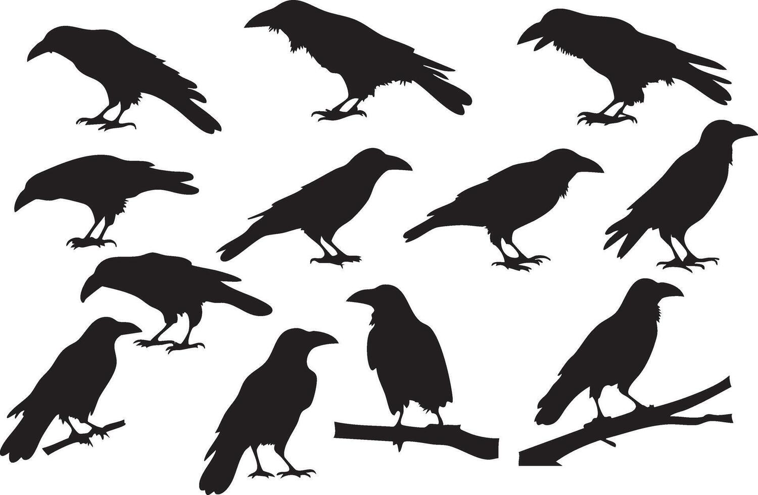 Crow Silhouette for Mysterious and Elegant Designs vector