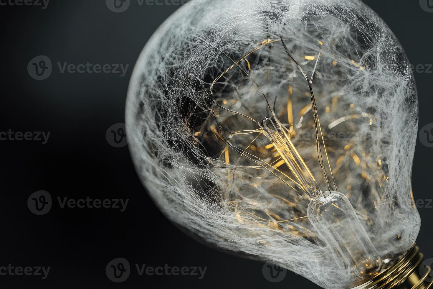 A Light Bulb Covered in a Delicate Web photo