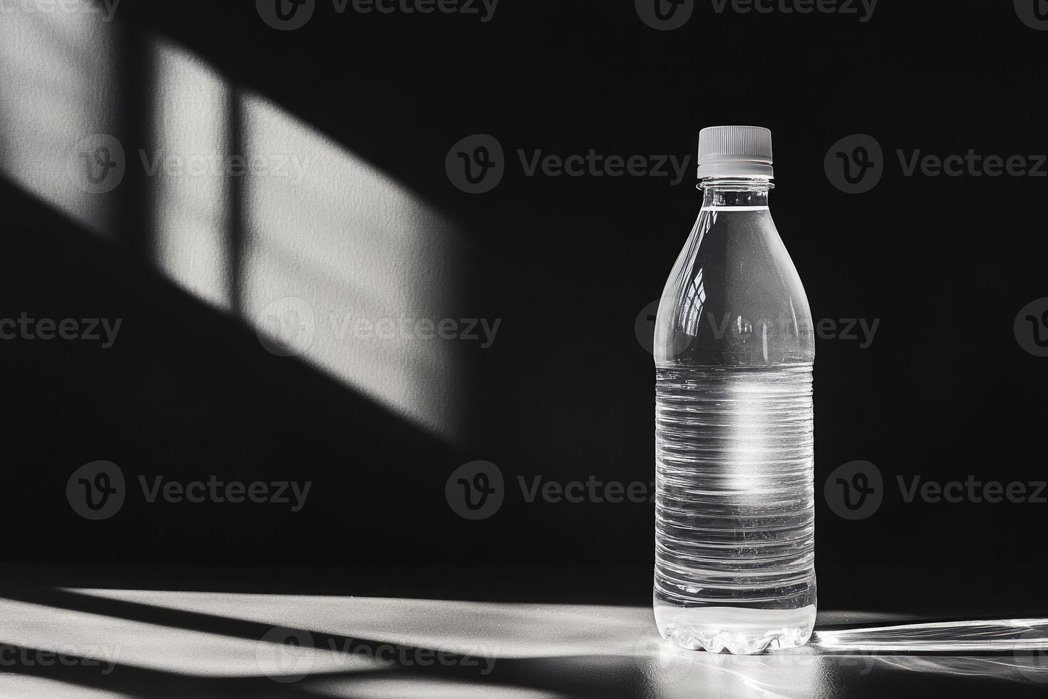 A Single Water Bottle Stands in Shadowed Light photo