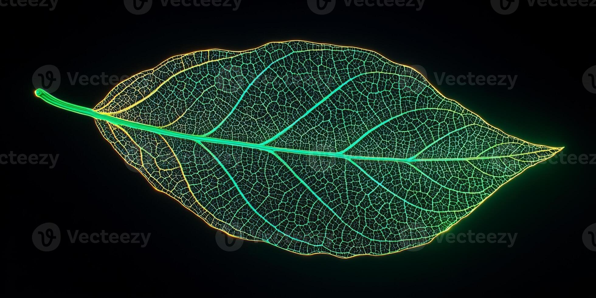 Glowing Skeleton Leaf Nature s Intricate Network High Resolution Macro Photography photo
