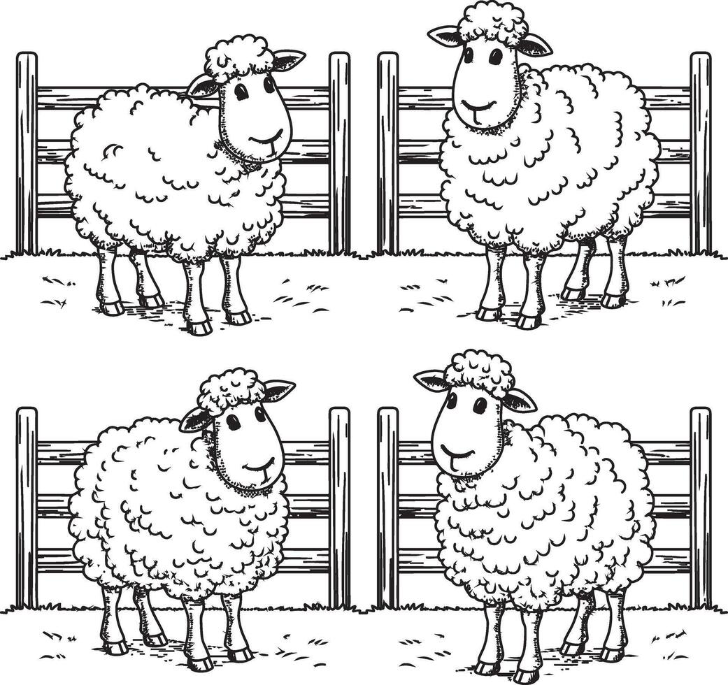 sheep house with sheep line art illustration vector