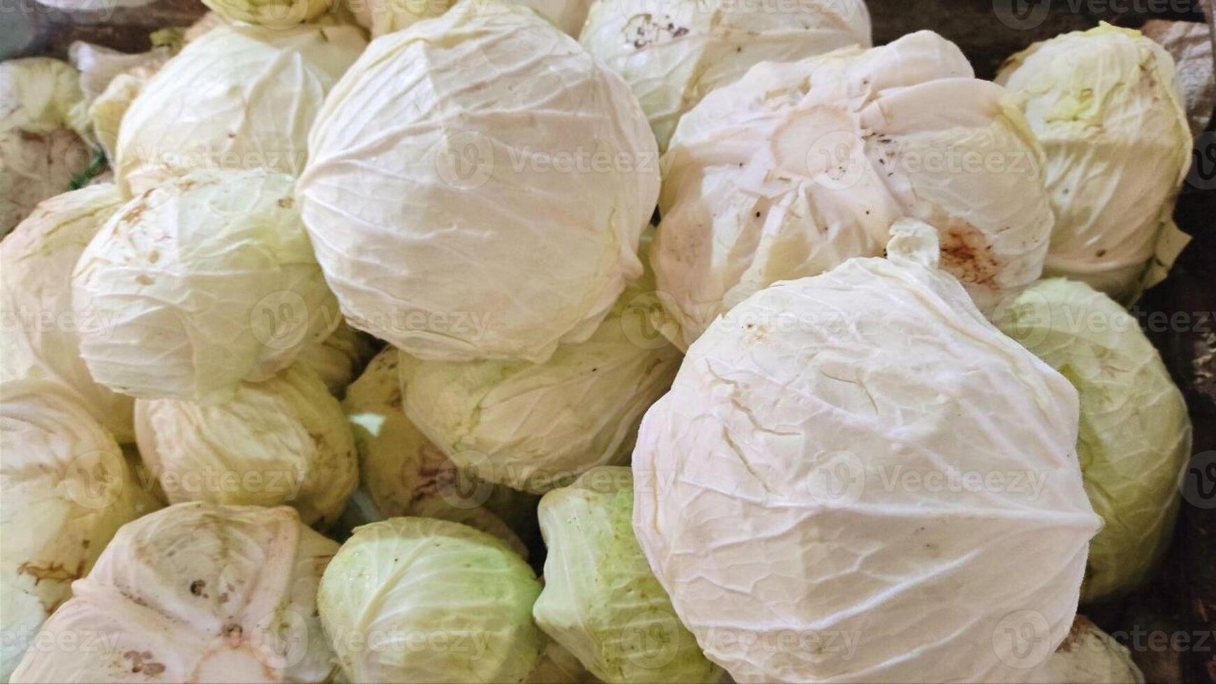 A pile of white cabbage in a box photo