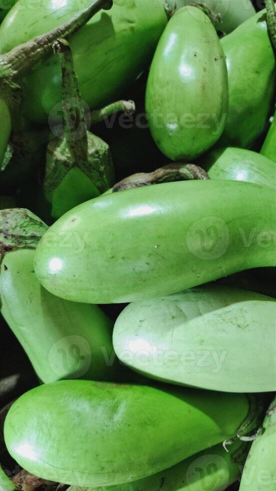 Green eggplant is a popular vegetable in the philippines photo
