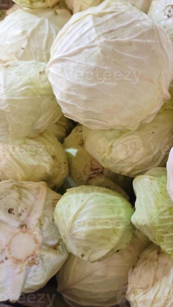 A pile of white cabbage in a box photo