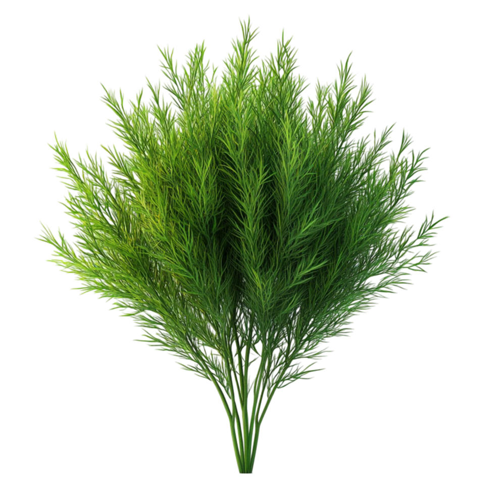 Cluster of Tall, Slender, Curved Green Leaves on Transparent Background png