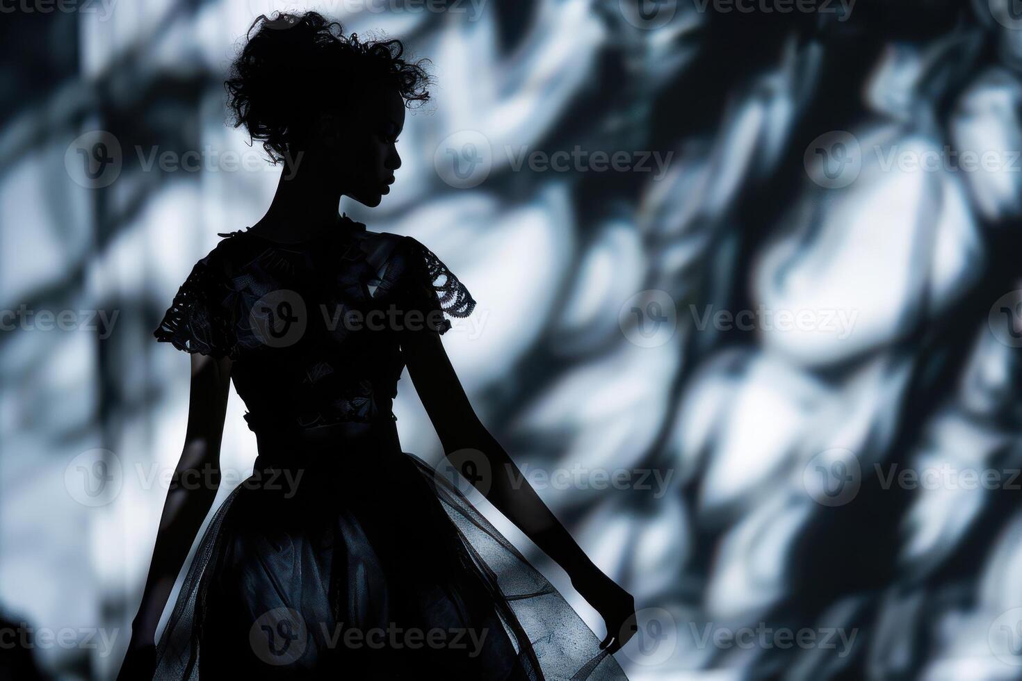 A silhouette of a woman in a dress photo