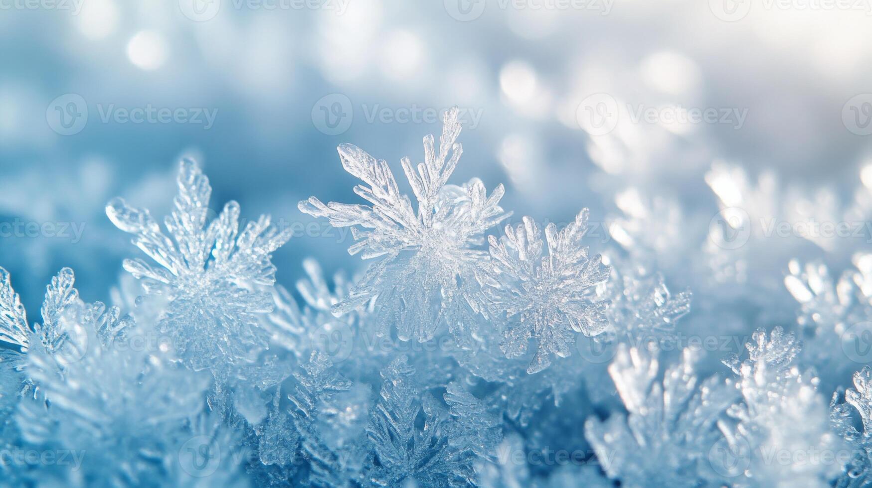 A Macro Shot of Delicate Ice Crystals photo