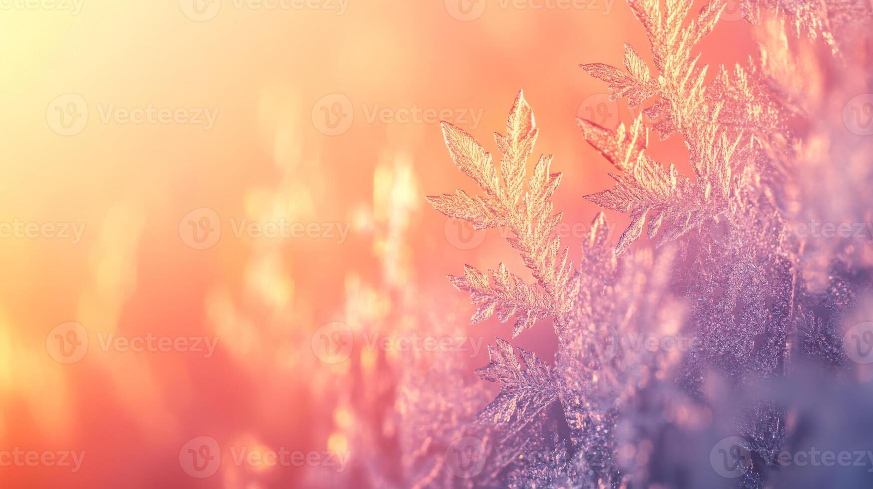 Delicate Ice Crystals Glimmering in Warm Sunset Light photo