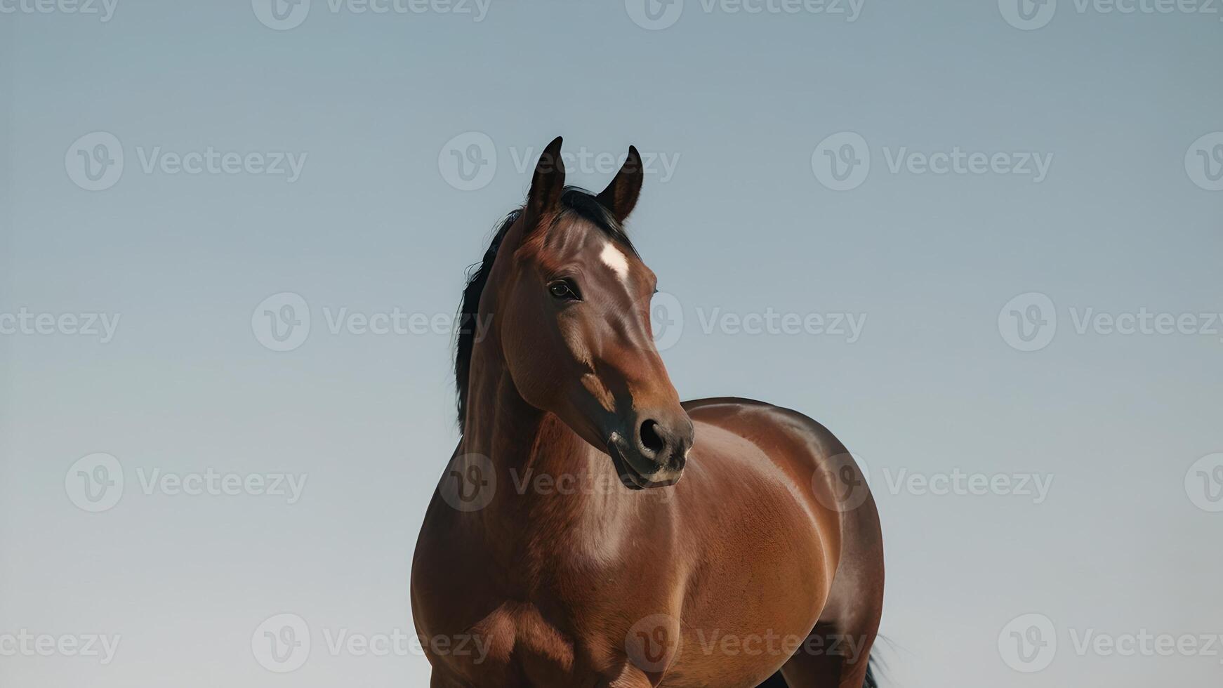Beautiful Bay Horse Standing Against a Clear Blue Sky photo