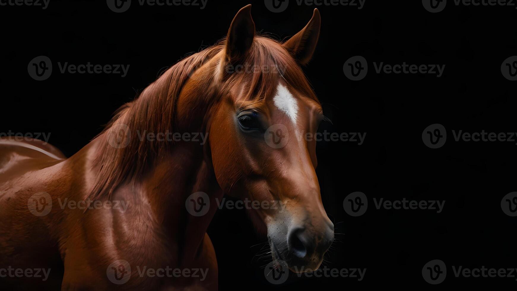 Majestic Red Horse Portrait Against a Dark Background photo