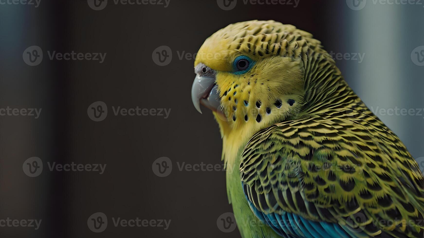 A Close Up View of A Budgerigar With Vibrant Yellow And Green Feathers photo