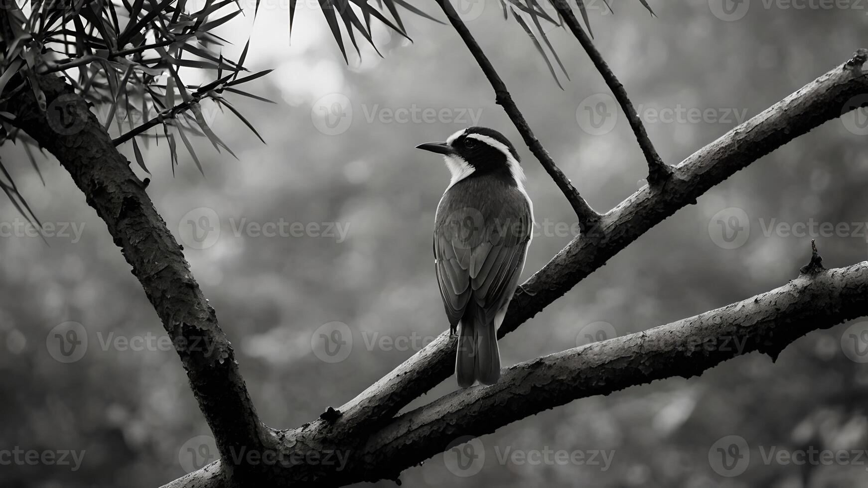 Bird Perched on a Branch in a Serene Black and White Setting photo