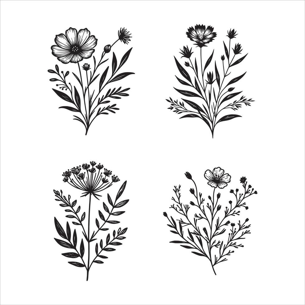 The Language of Blooms vector