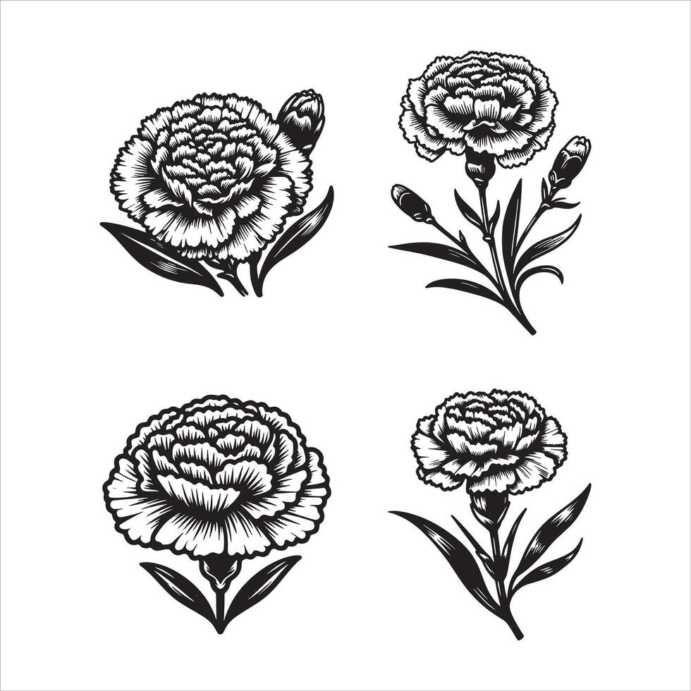 Carnations on the Wind vector