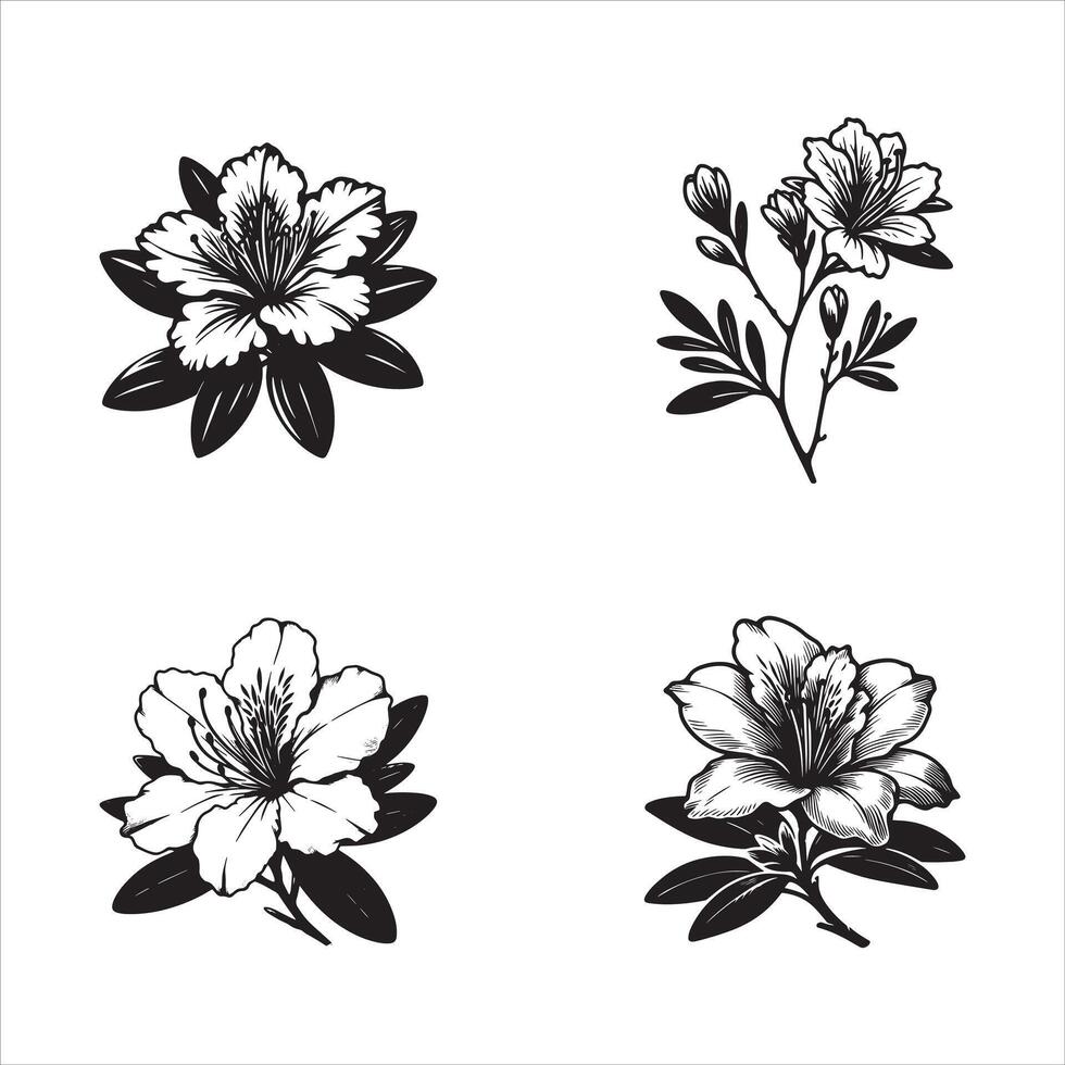 Azaleas in the Rain Petals in the Storm vector