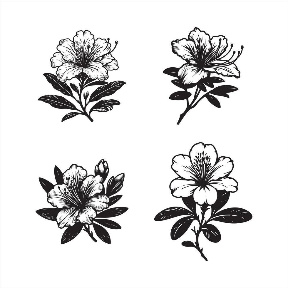 Azalea Serenity Tranquil Floral Beauty vector
